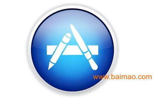 系統軟件開發、應用軟件開發與各類軟件開發 廠家選擇與價格考量